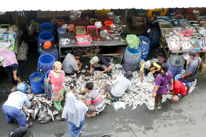 Customers sorting fish in Indonesian street market