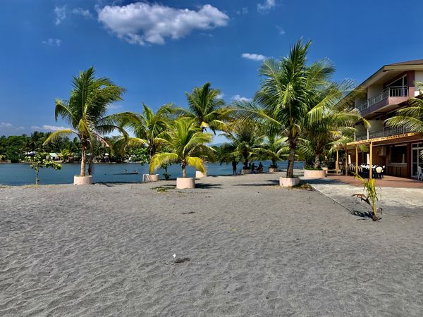 Beach view shore sands