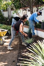 Group of people working in the garden
