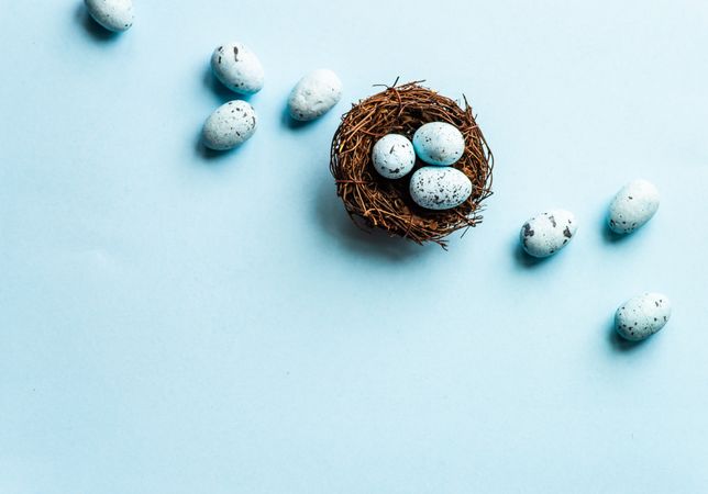 Top view of Easter holiday card with spotted eggs in nest on pastel blue background