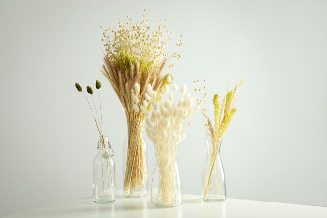 Four glass vases with dried flowers in grey room
