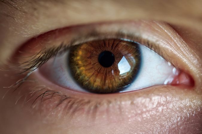 Brown eye with long eyelashes of person