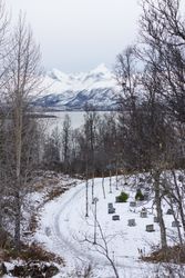 Winter graveyard in quiet overcast weather