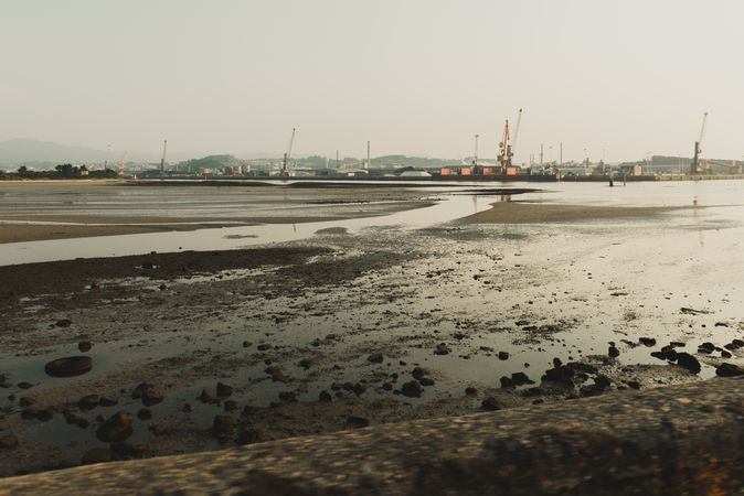 Industrial landscape with sea bay and port cranes
