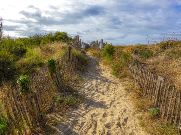 The coastal path at dawn, La Couarde sur Mer, France