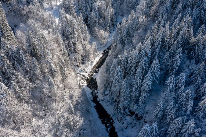 Winter aerial view with snow-covered forest and mountain river