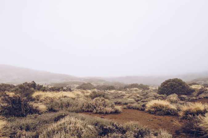 Desert landscape in foggy day
