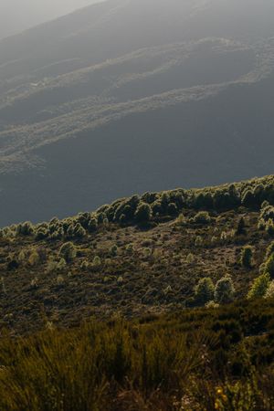 Beautiful mountain landscape