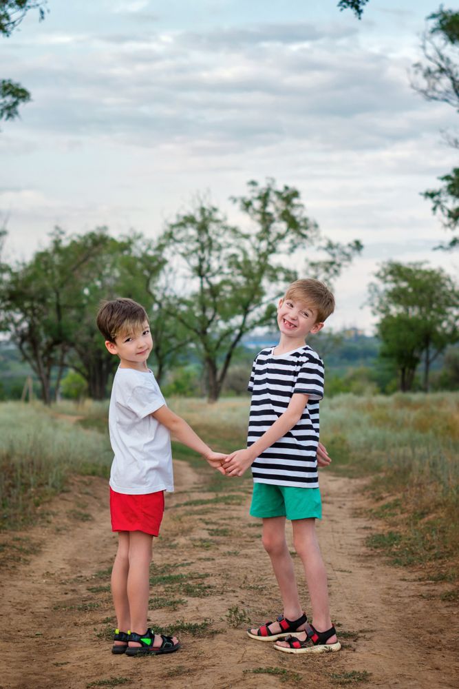 Two little brothers walking in countryside