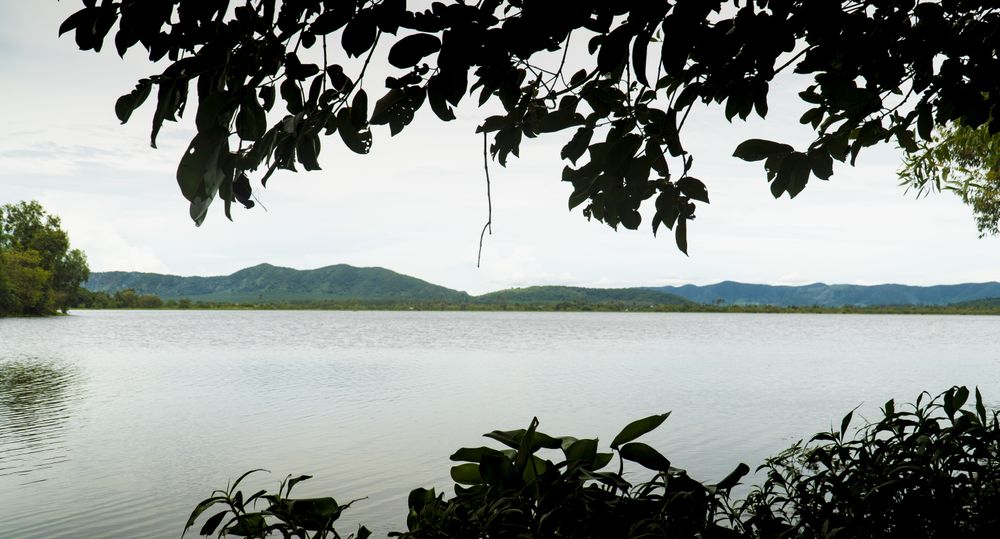 Tranquil bay landscape in tropical vegetation