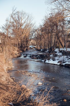 River running between forest in winter