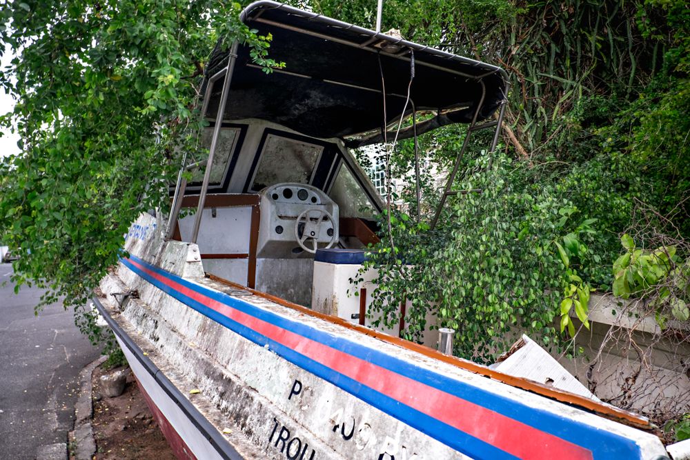 Abandoned boat surrounded by leaves