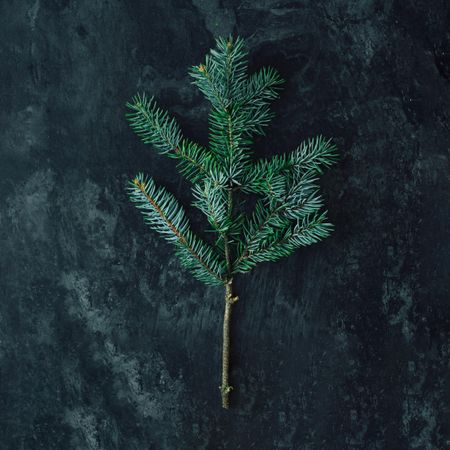 Christmas tree made of fir branches on marble table
