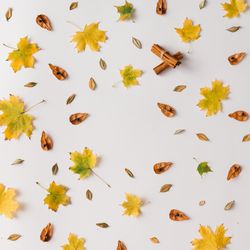 Autumn leaves pattern on light background