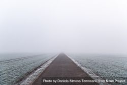 Pathway through frozen agricultural fields 4mDAQ5