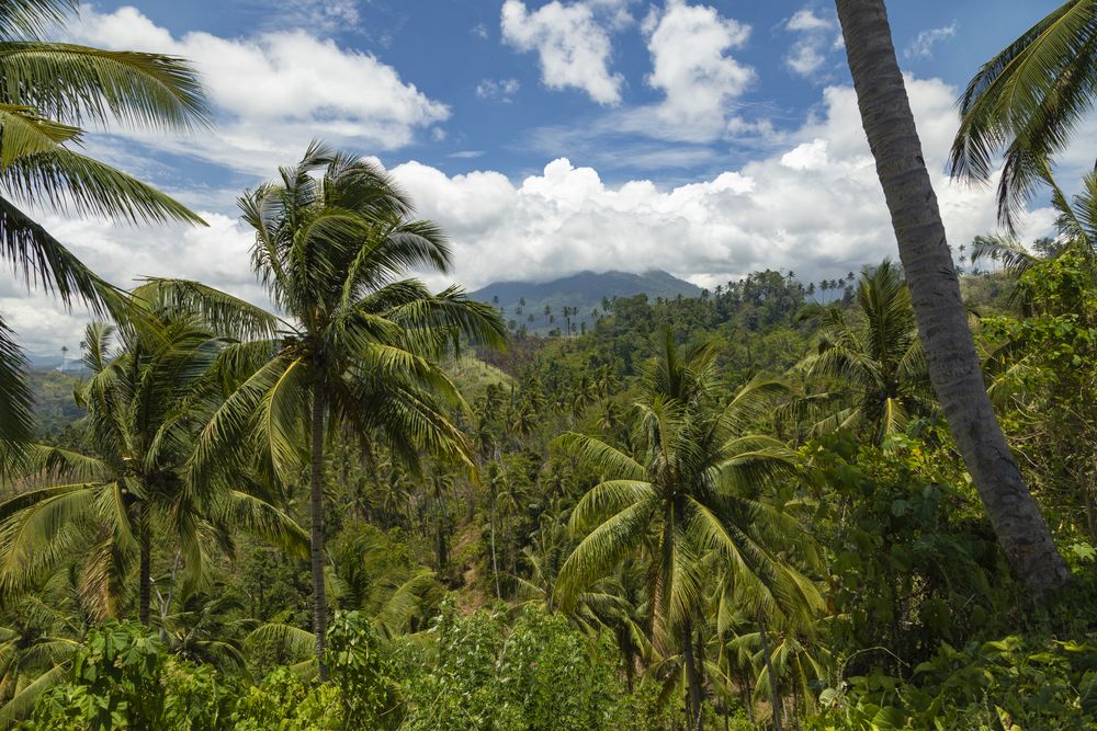 Klabat volcano behind clouds in the background, North Minahasa, Sulawesi, Indonesia