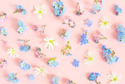 Pastel flowers on light pink background