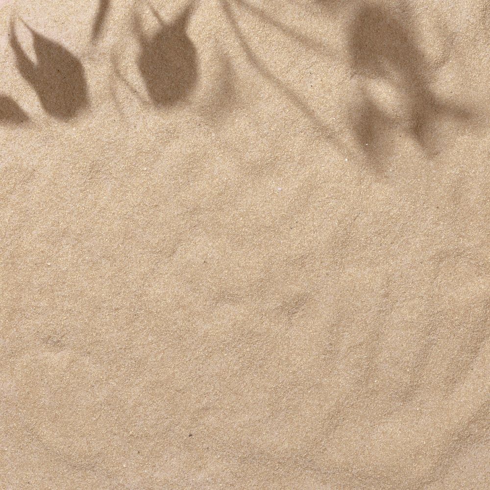Sand with palm leaf shadows