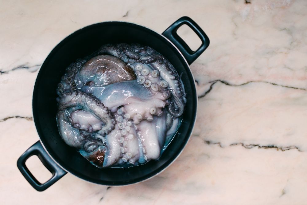 Fresh squid on marble table