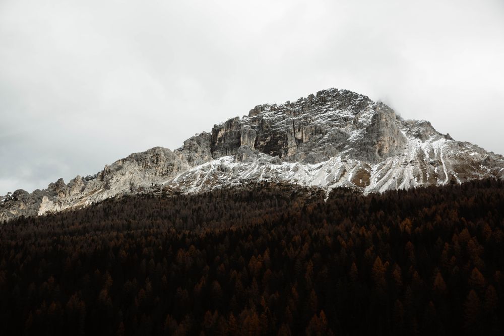 Big mountains near pine forest on cloudy weather