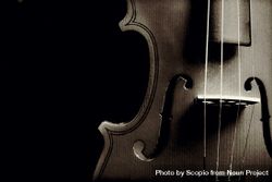Side of violin with four strings on dark background 5lQwN4