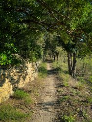 Trail along stone wall in the Baux-de-Provence