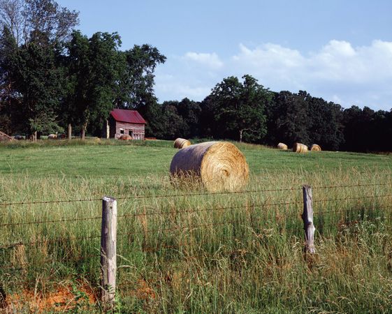 Rural farm scene with bales of hay and barn in North Carolina