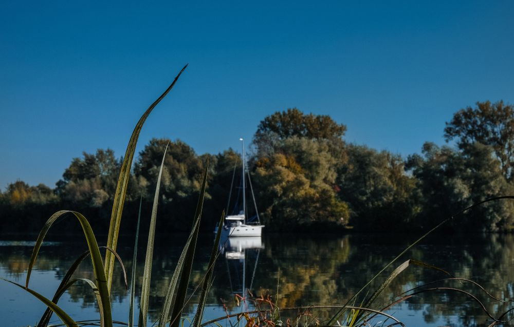 Boat on a river pictured from the marsh