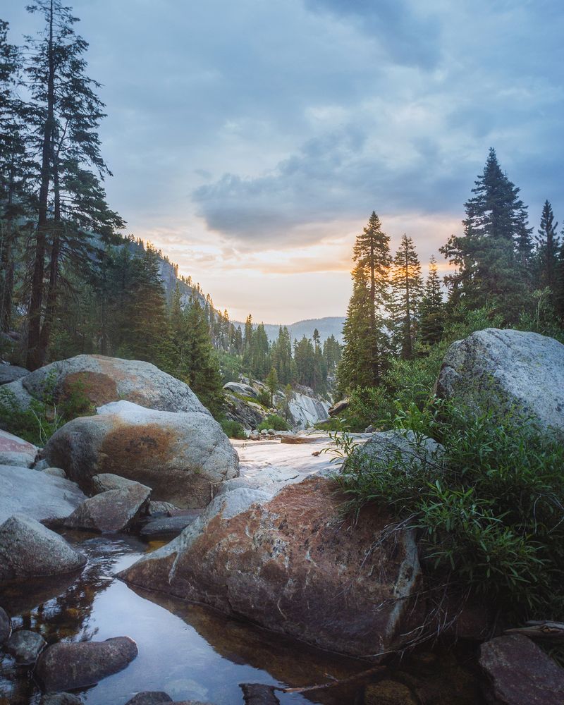 River between pine trees during golden hours