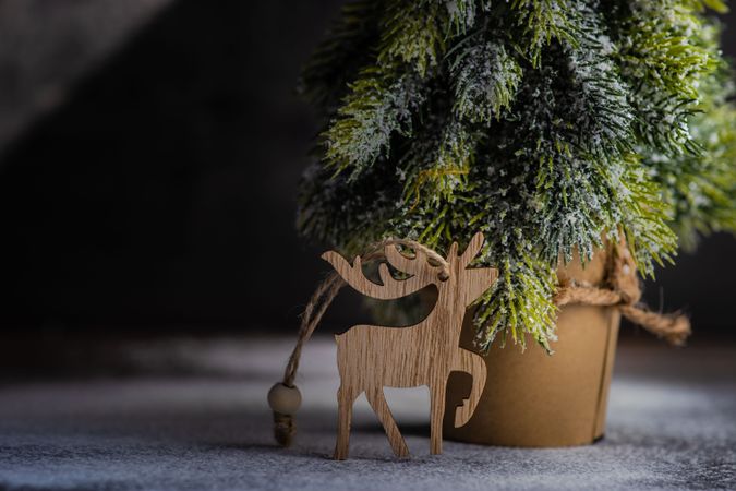 Christmas card concept of mini tree and reindeer ornament