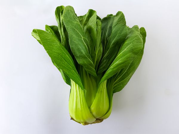 Fresh Bok Choy Vegetable on Plain Background