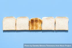 Slices of toast bread alligned in a row on a blue background 4AqWQ4