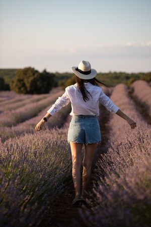 Anonymous woman walking in lavender field