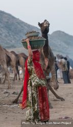 Indian woman holding a basin over her head standing at the camel trade festival in Pushkar, India 41Aag4