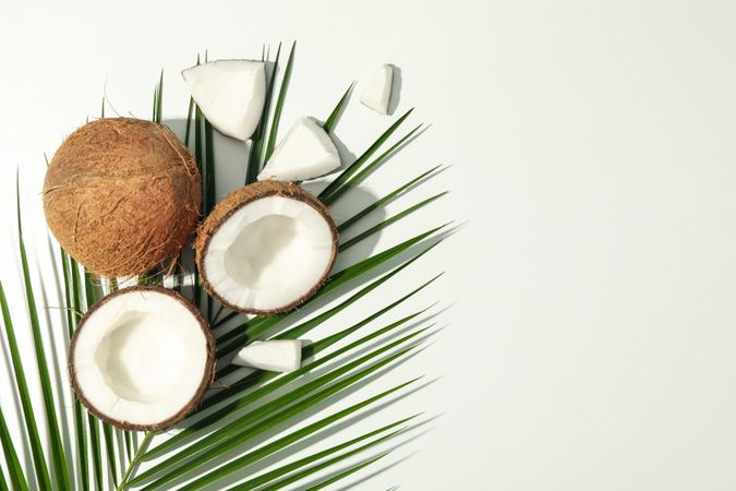 Coconut and palm branch on plain background, top view