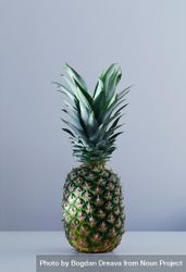 Single pineapple bYgkX5