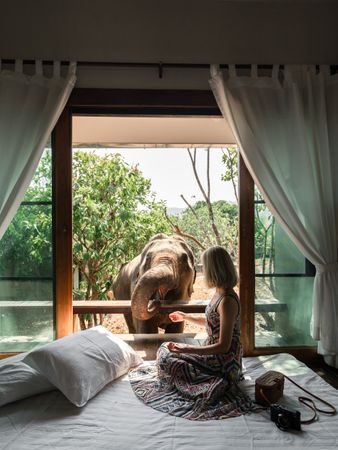Woman feeding an elephant while sitting on bed