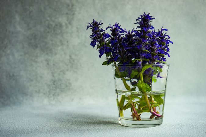 Glass of blue flowers