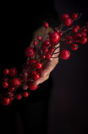 Crop person with handmade berries