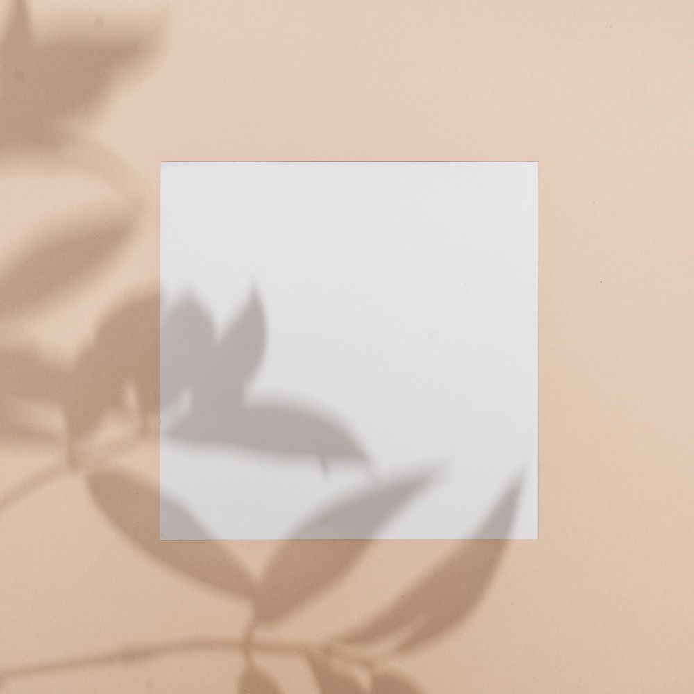 Flat lay of shadow of palm leaf beige background with paper square