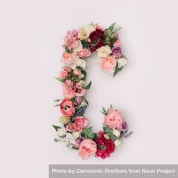 Letter C made of real natural flowers and leaves 4BMdM5