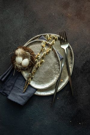Top view of decorative egg in delicate nest on ceramic plate with space for text