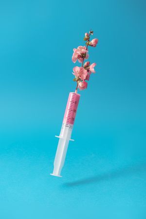 Syringe with pink flowers