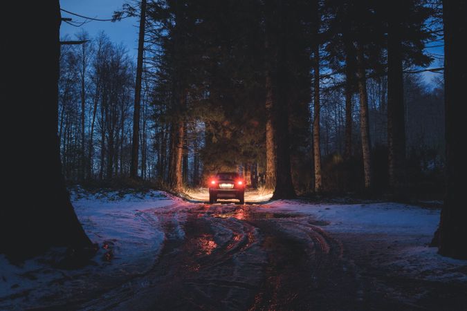 Car riding along dirty road in evening forest