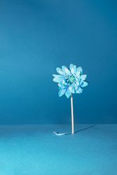 Nature performing concept idea design