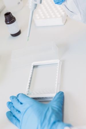 Specialist in laboratory studying analyzes from monitor of device