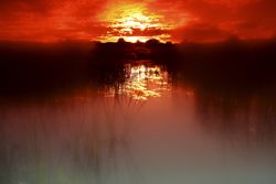 Bloody red sunset above lake