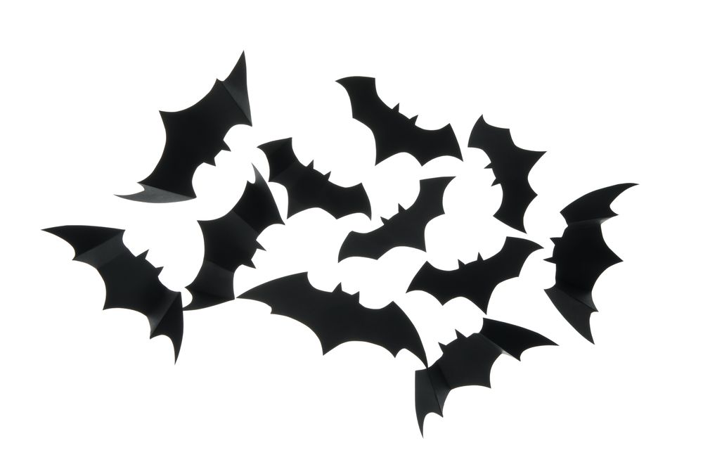 paper bats isolated on blank background