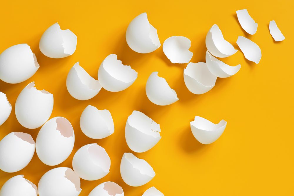 Broken shells on yellow background