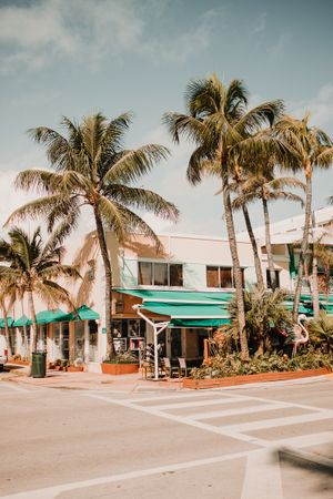 MIAMI, USA - November 13, 2018: View of beautiful city street